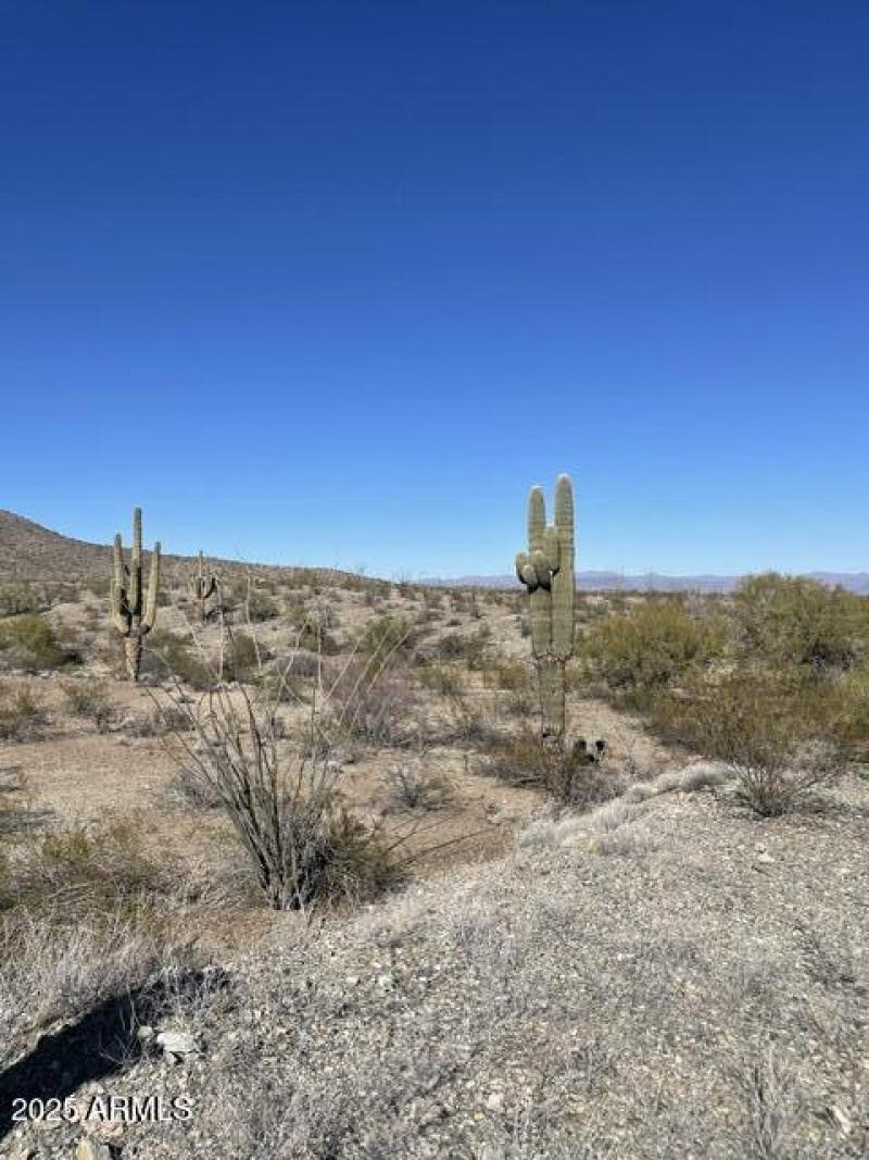 image10