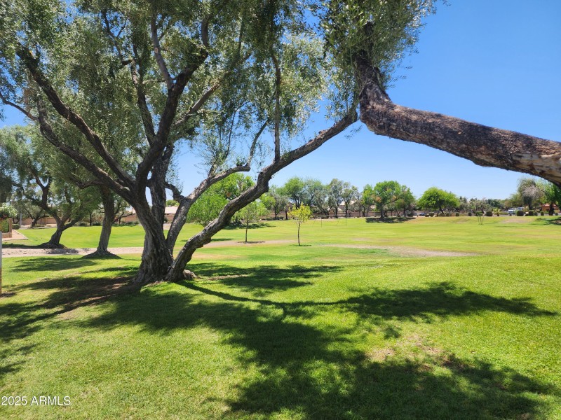 31 - 20250628_125826