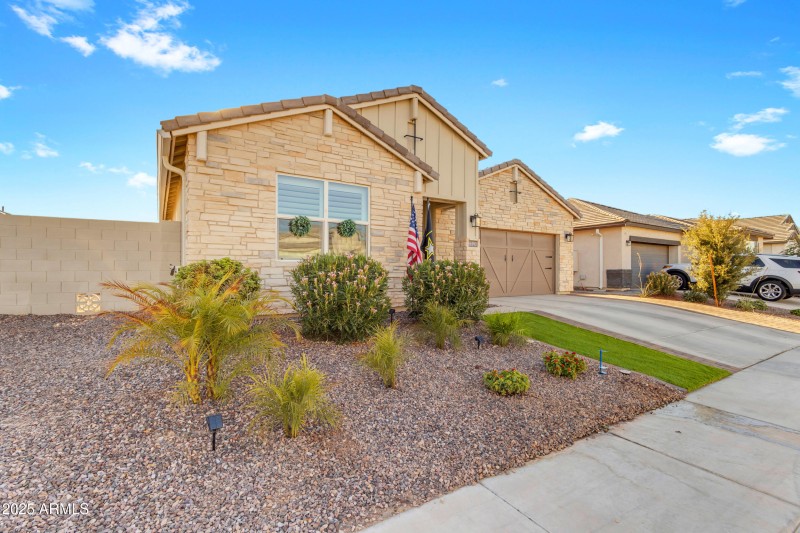 Desert Landscaping