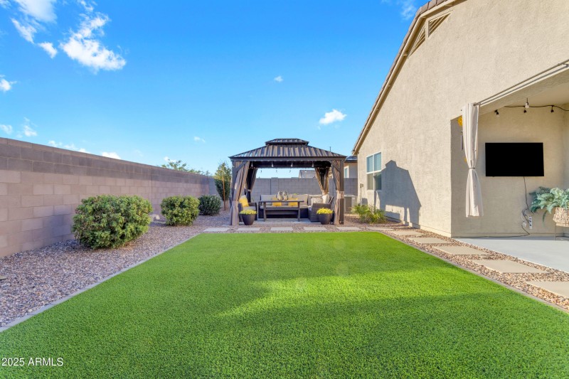 New Turf in Backyard