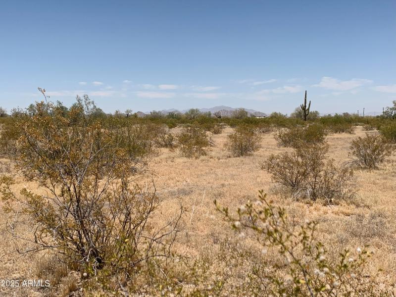 Wide Open Spaces!