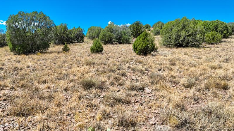 Lot Photo D2 (2)