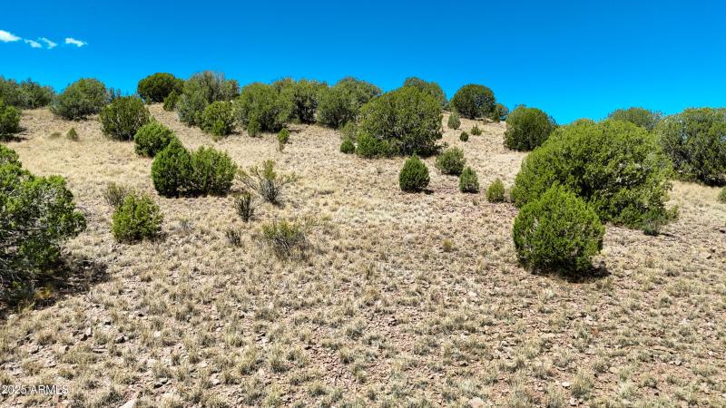 Lot Photo D2 (5)