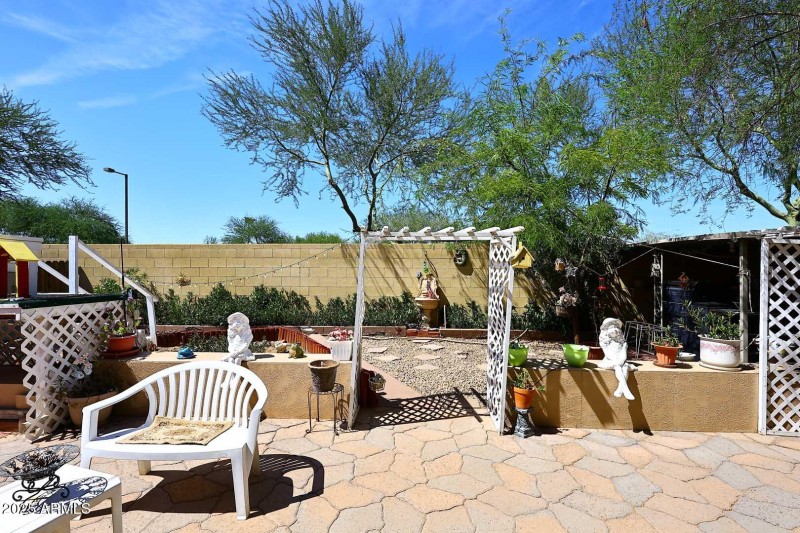 Backyard2
