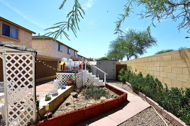 Backyard3