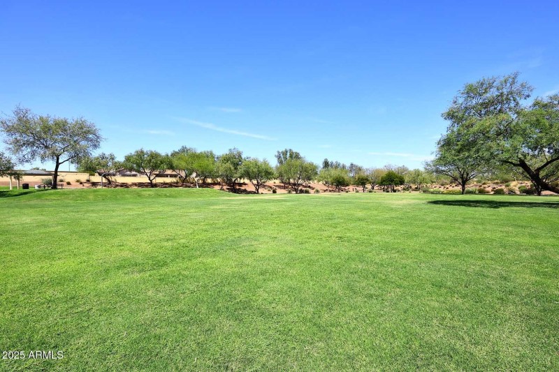 Community Park2