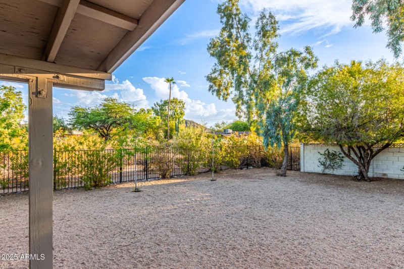 Backyard