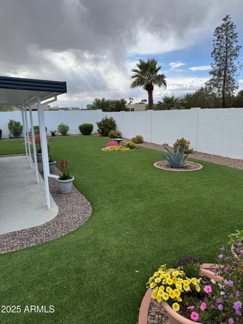 Backyard
