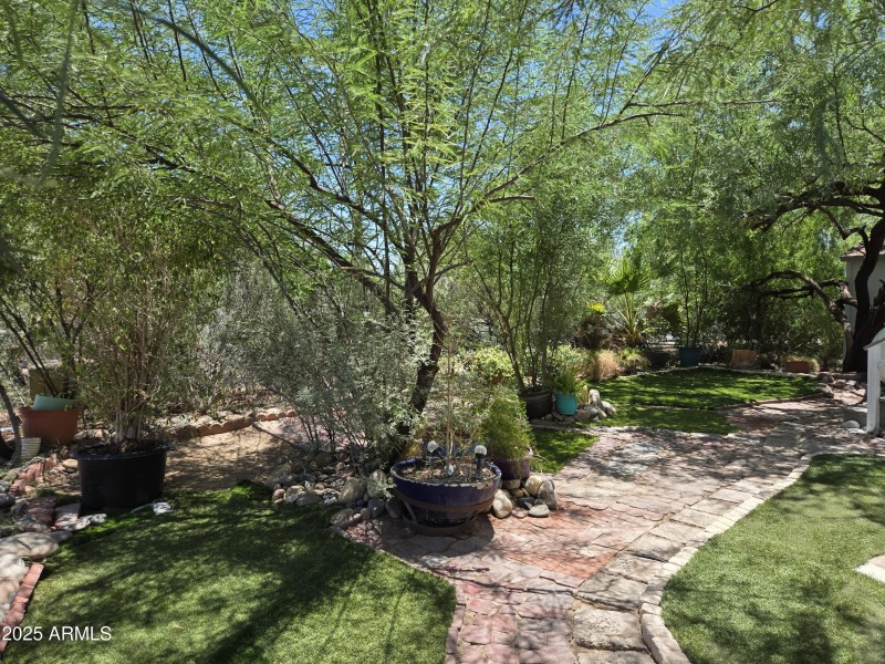 Backyard