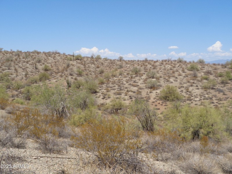 State Trust Land