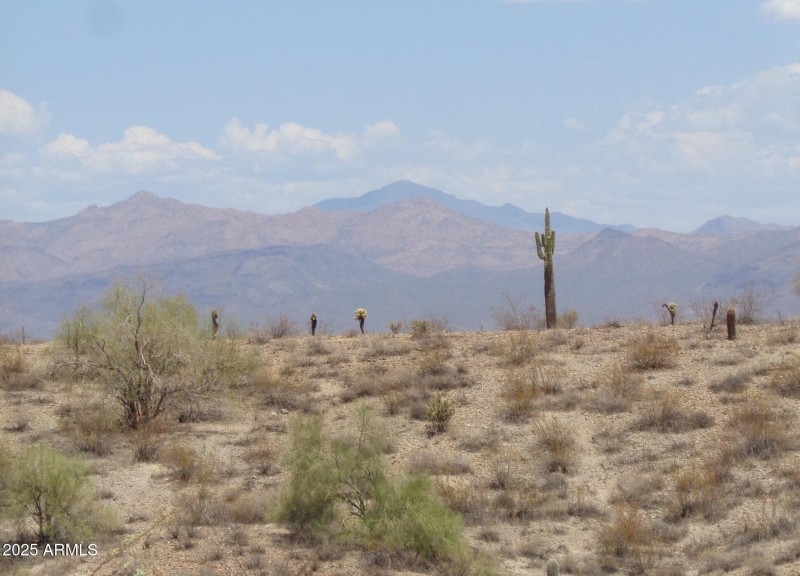 View of Mt. Ord