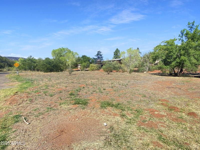 Ground photo 2