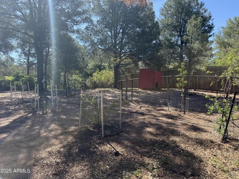 Photo Aug 05 2025, 9 35 15 AM