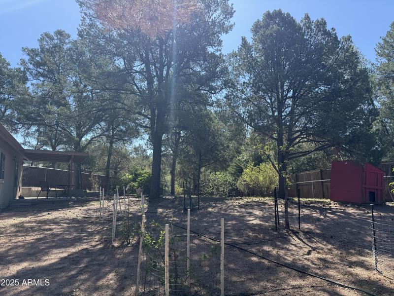 Photo Aug 05 2025, 9 35 33 AM