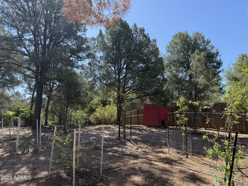 Photo Aug 05 2025, 9 35 42 AM