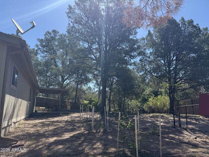 Photo Aug 05 2025, 9 35 45 AM