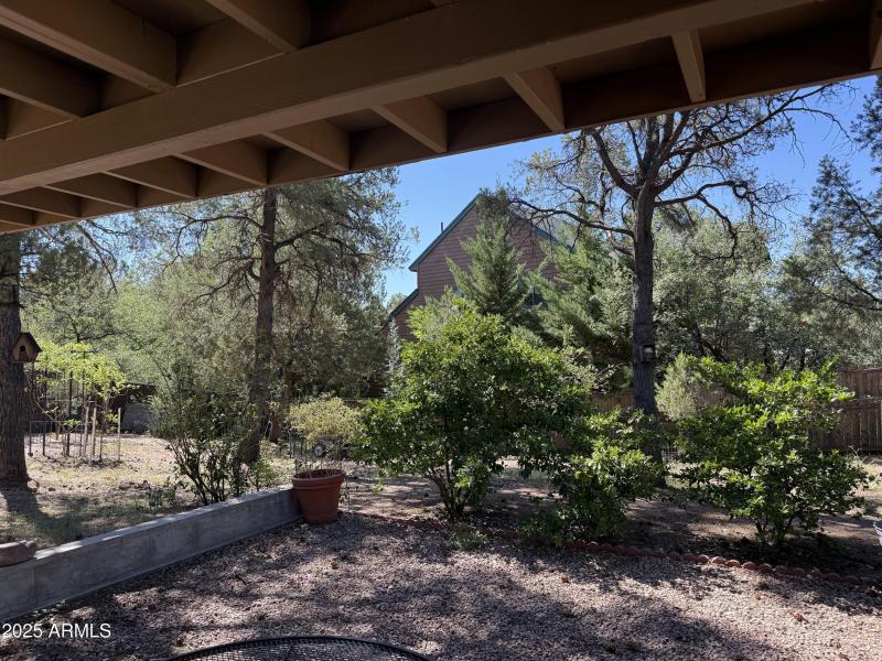 Photo Aug 05 2025, 9 36 36 AM