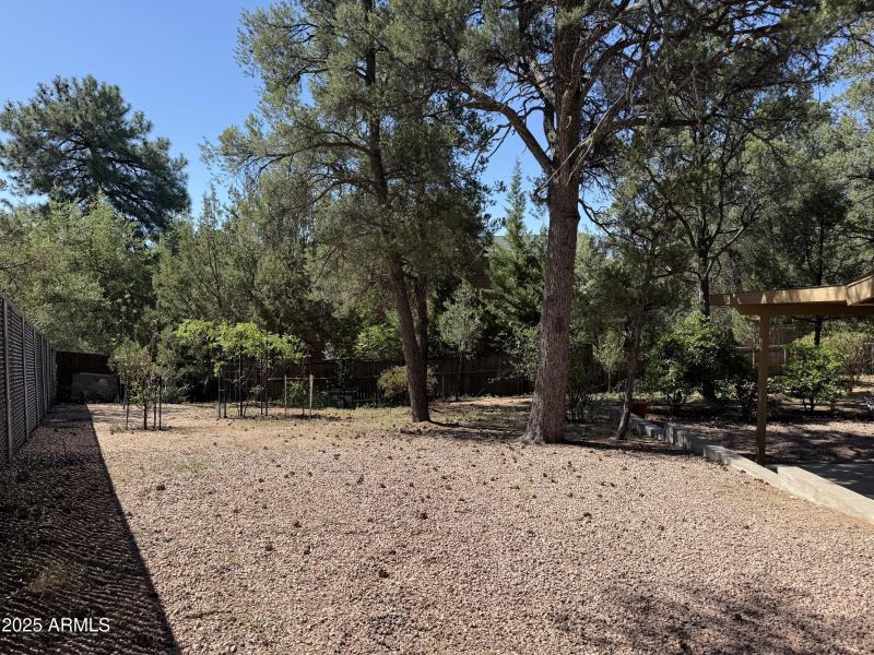 Photo Aug 05 2025, 9 45 44 AM