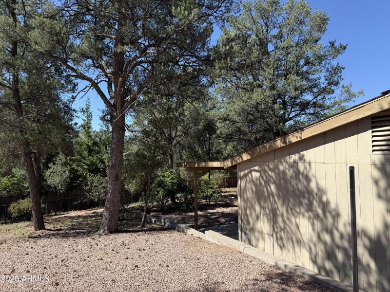 Photo Aug 05 2025, 9 45 49 AM