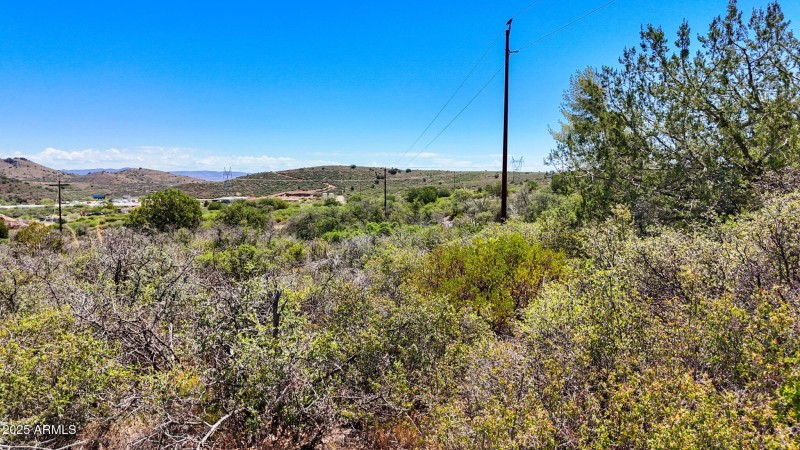 14-Lot Photo (4)