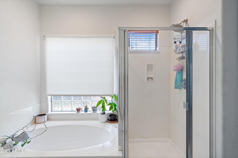 30-Primary Bathroom