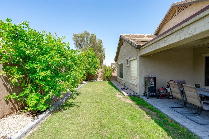 43-Backyard View