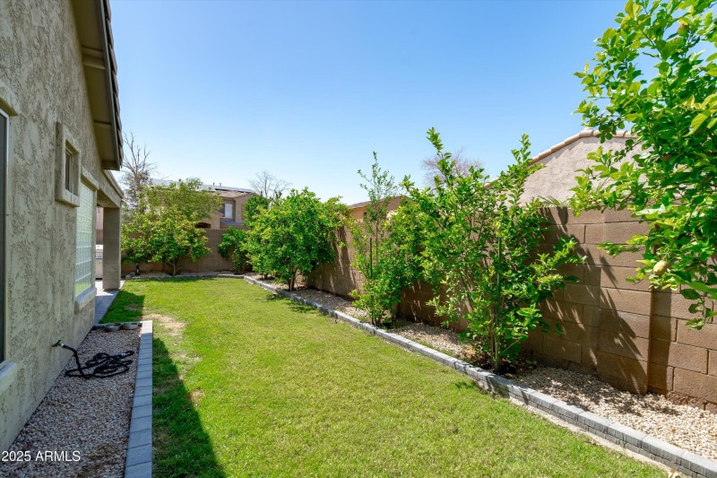 44-Backyard View