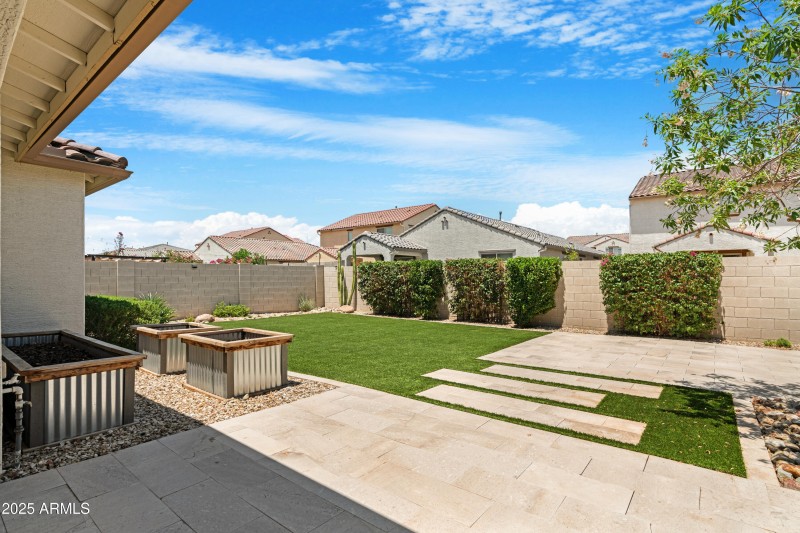 Backyard 3
