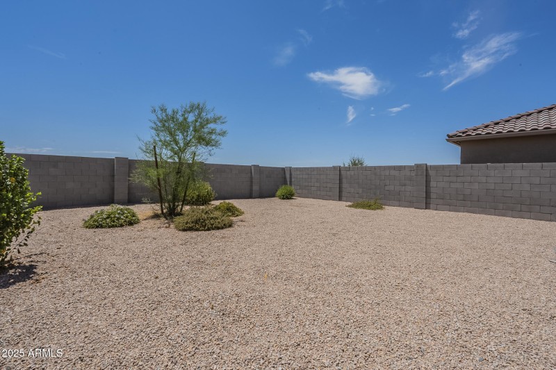 025 Backyard