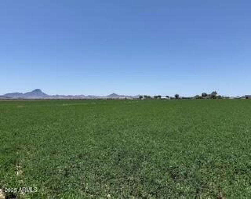 4.38 Acres