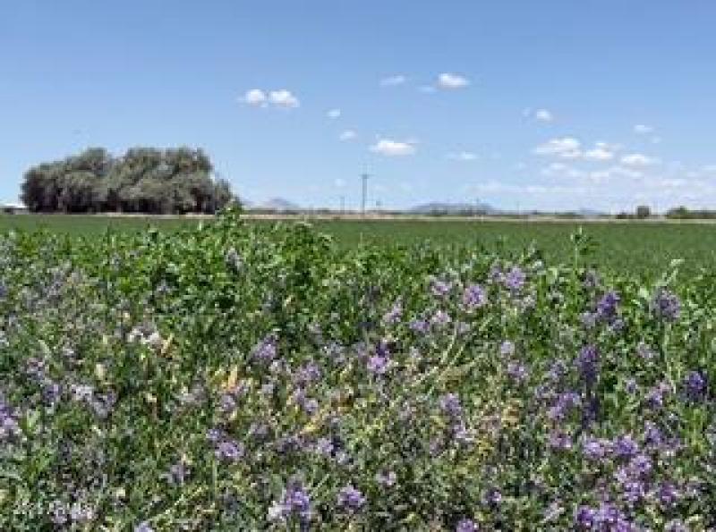 4.38 Acres