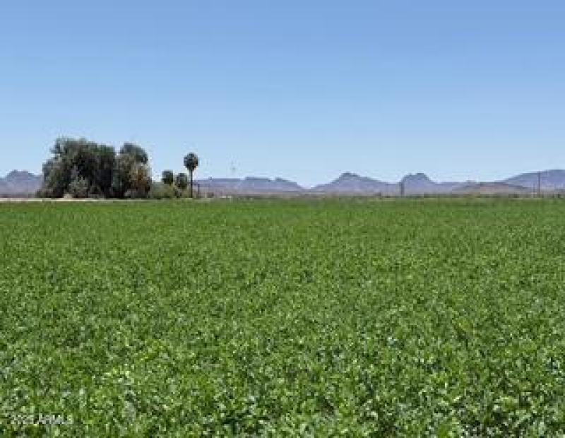 4.38 Acres