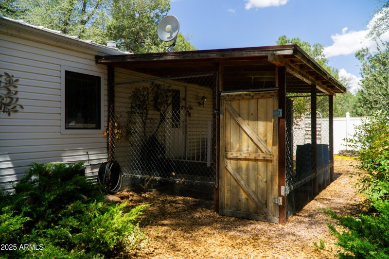 (46) Backyard (1)