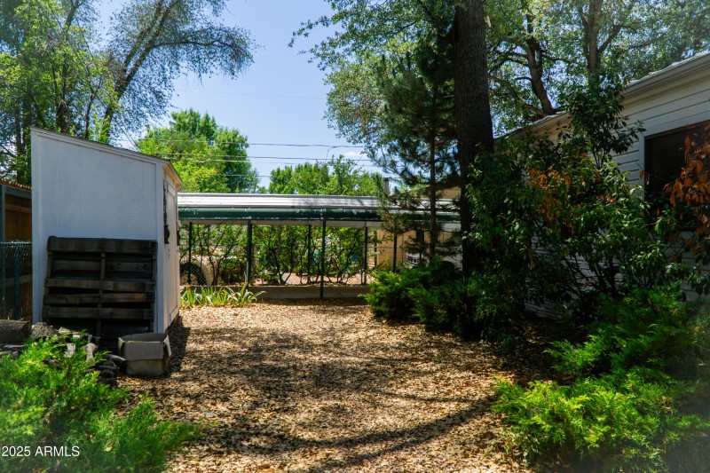 (45) Backyard