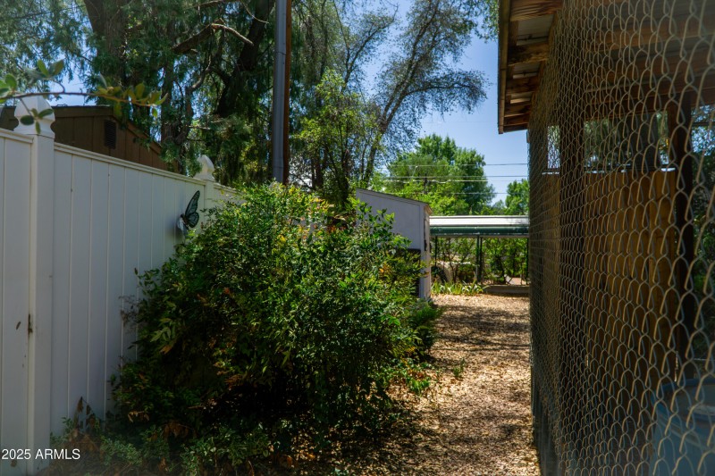 (44) Backyard