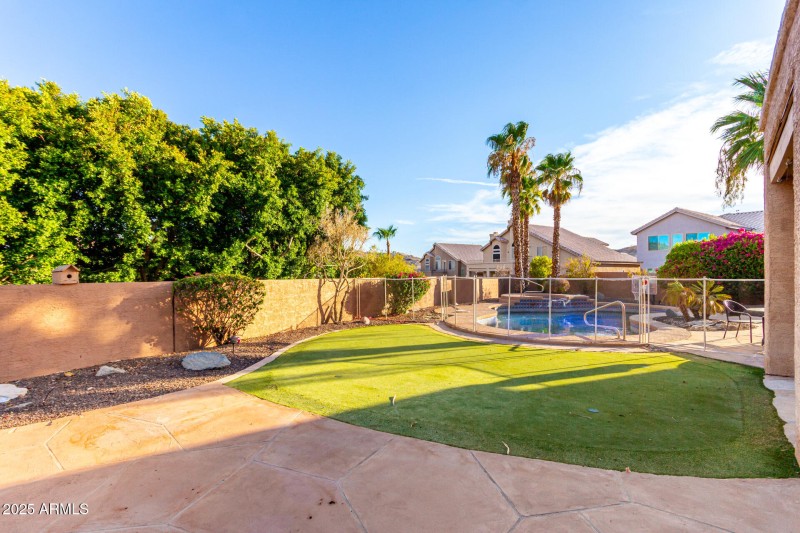 Backyard