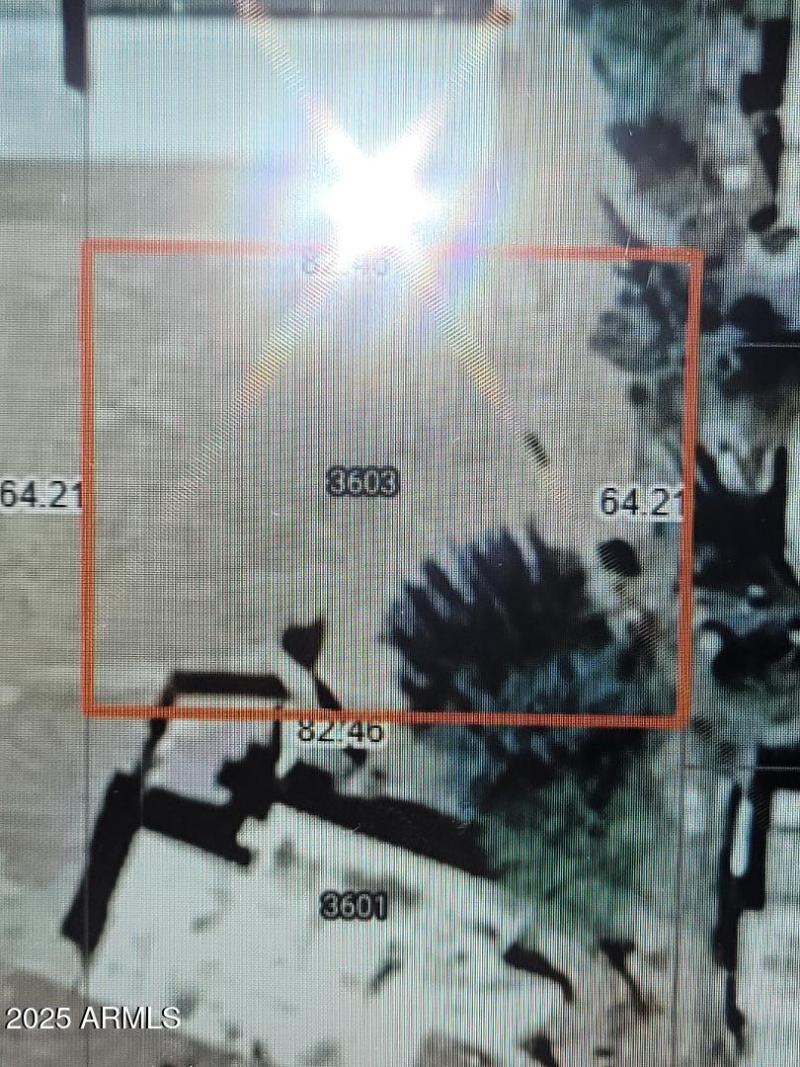 3603 plot map
