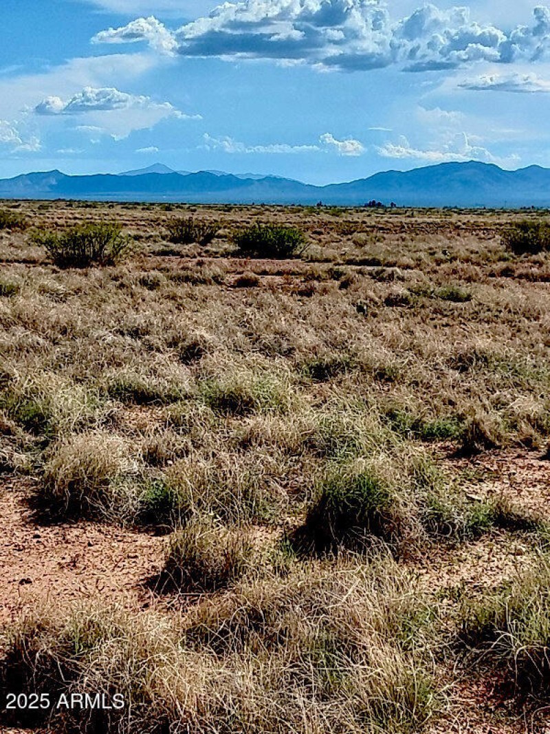 EE ranch 2 of 2 1