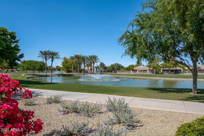 Walking Path-Lake