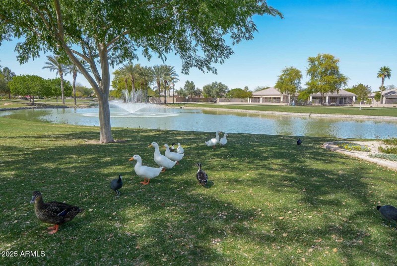 Lake Area
