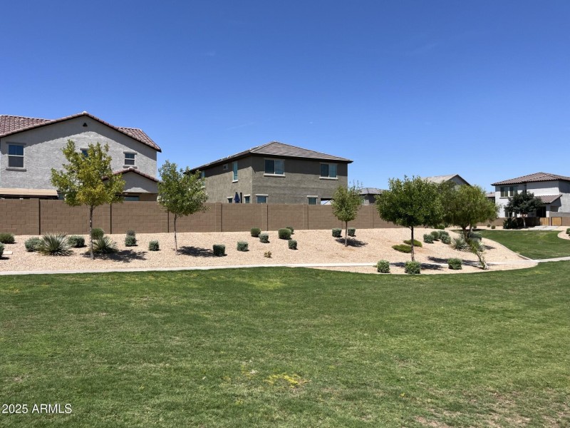 Greenbelt behind home