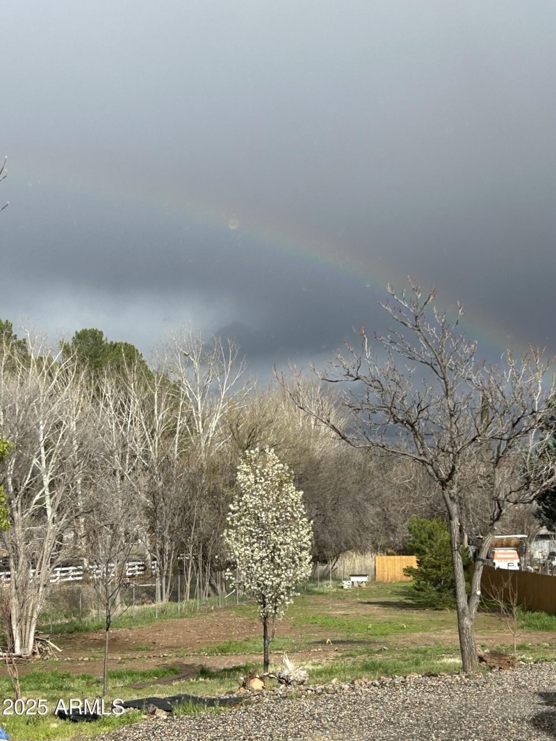 Rainbows & blooms