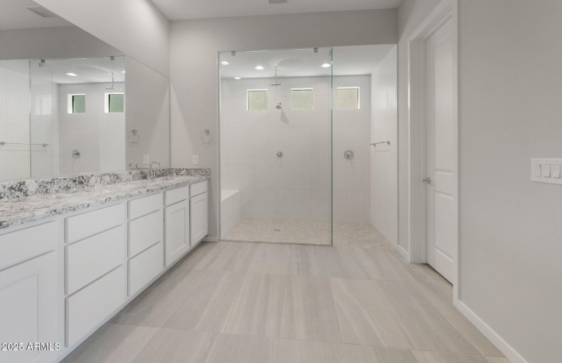Owner's Bathroom