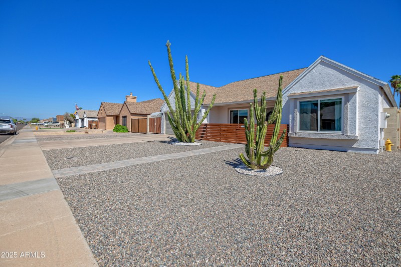 Front Yard