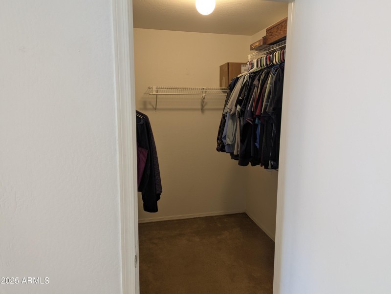 PXL_20250807_225922363