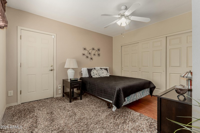 29 - Boxwood 26441