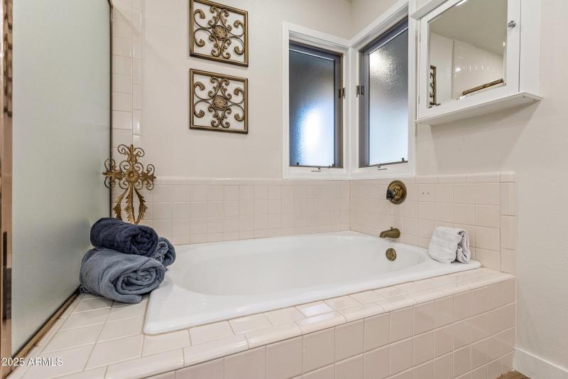 Master bathtub