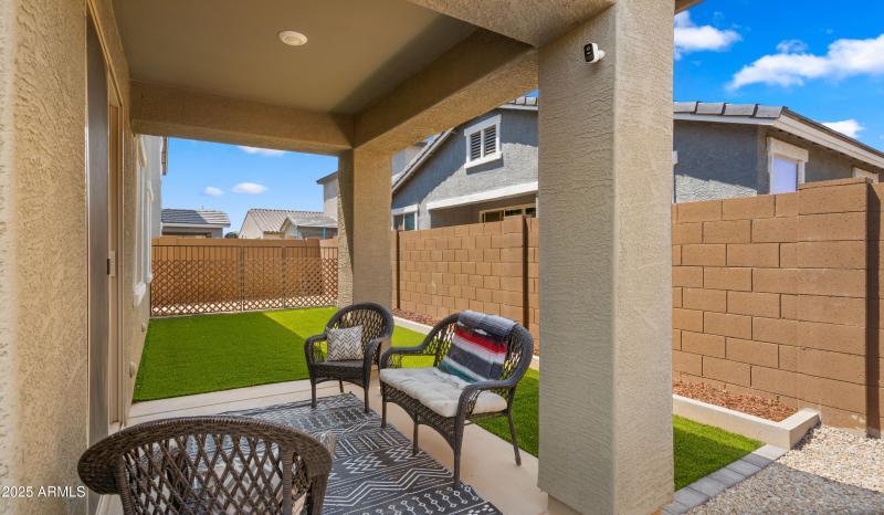 Backyard2