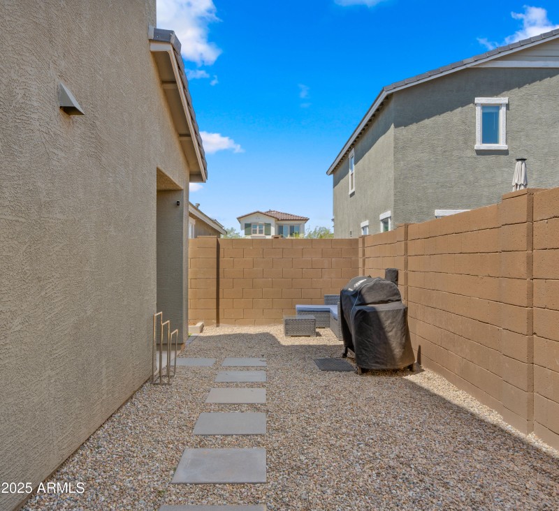 Backyard3