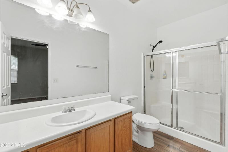 37-print-Palmaire-37_genErase